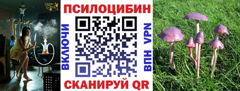 Псилоцибиновые грибы мицелий  Ступино 
